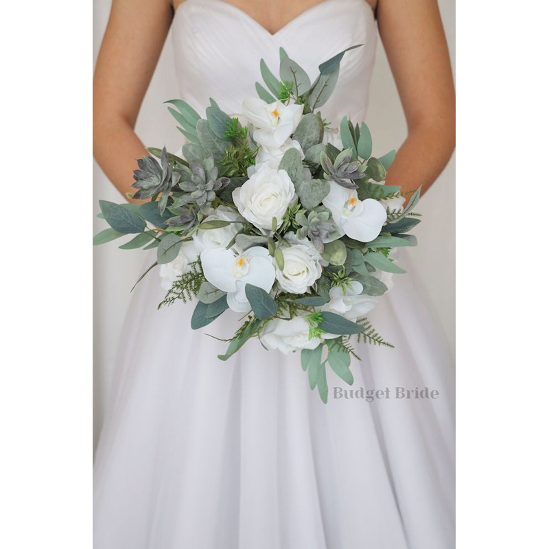 Anise Collection #202376- $45 – $260