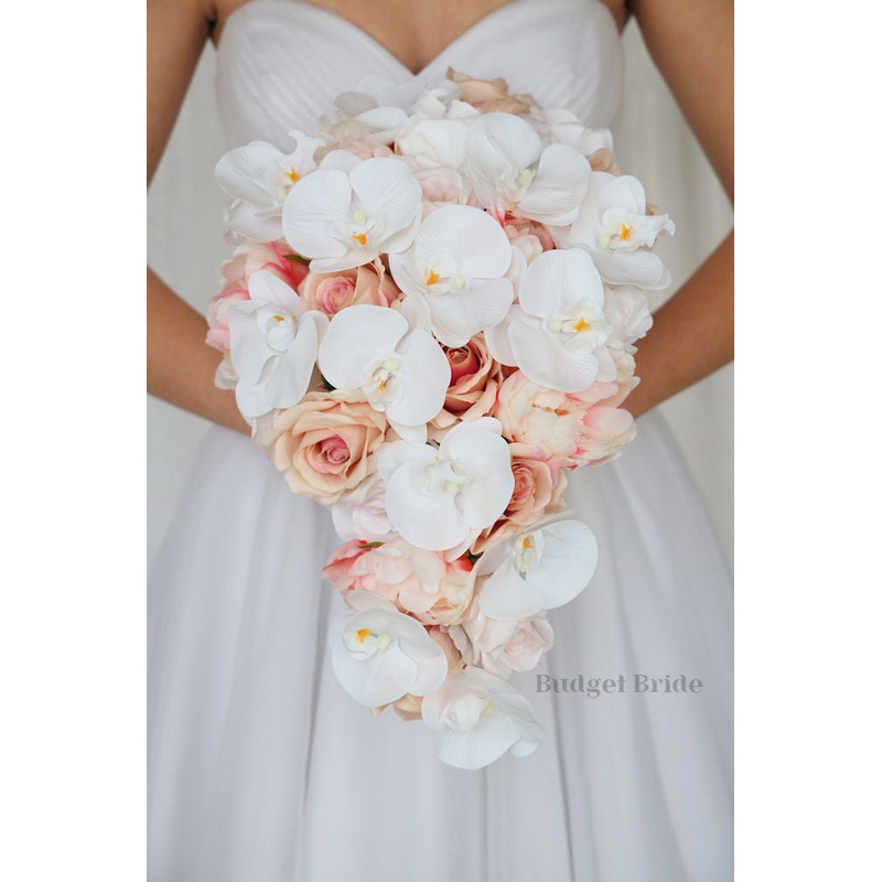 Sophie Collection #202323 – $45 – $280