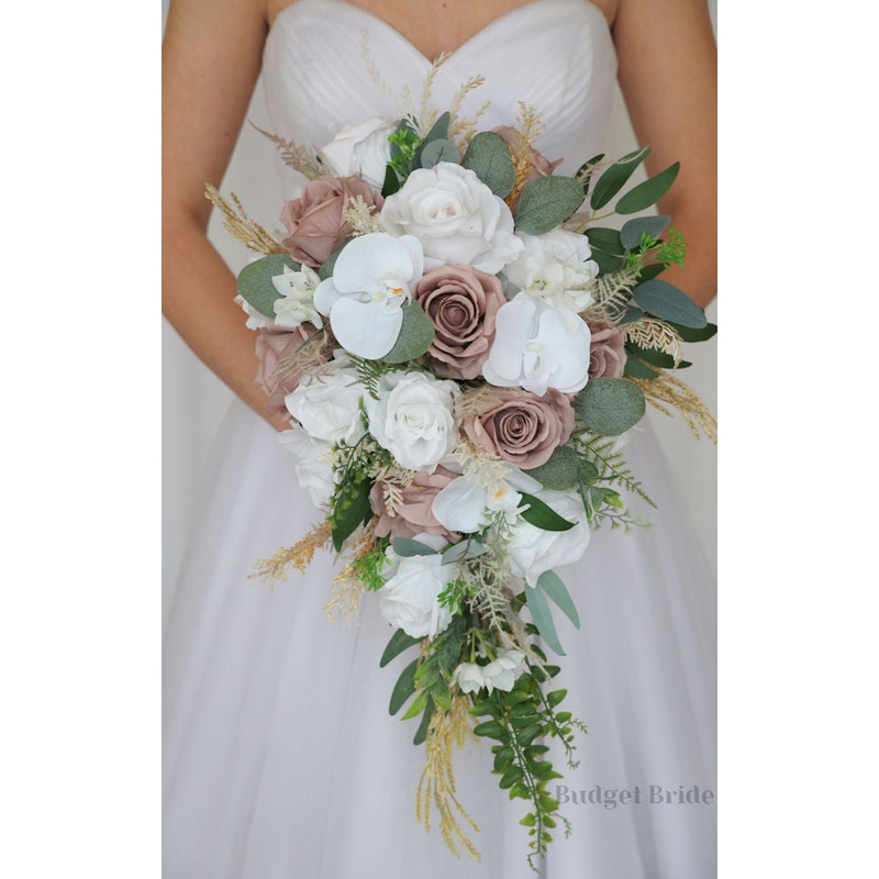 Titus Collection #202368- $45 – $280