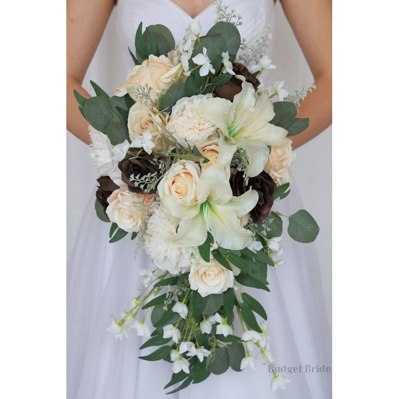 Cardamon Collection #2023192- $45 – $280