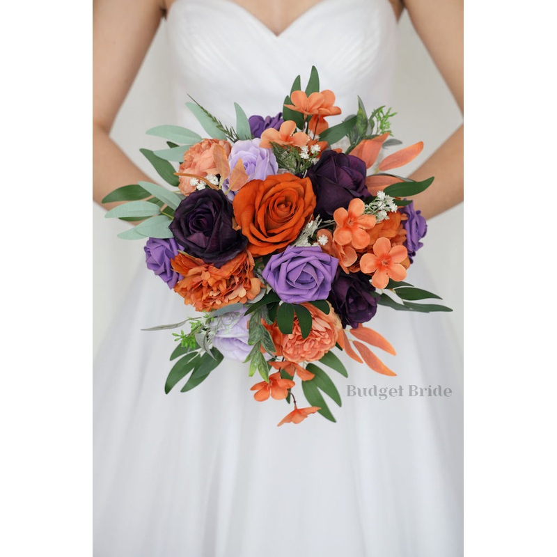 Curious Collection #2023256- $45 – $260