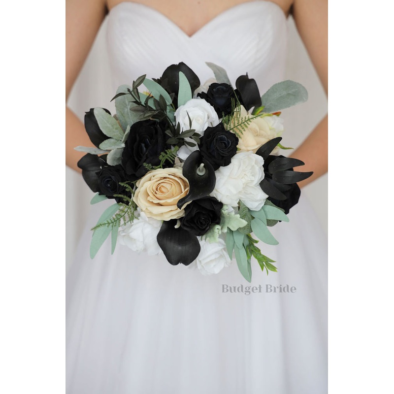 Hercules Collection #2023204- $45 – $260