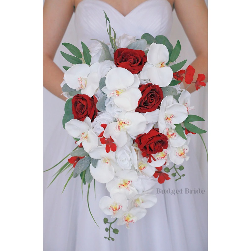 Kane Collection #2023261- $45 – $280