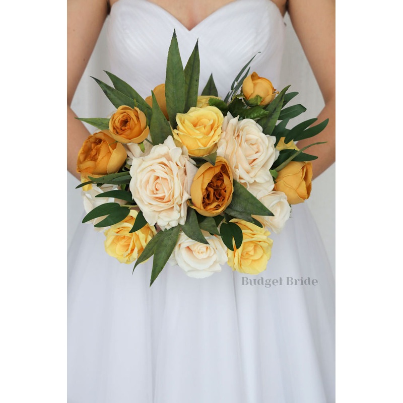 Lynx Collection #2023203- $45 – $260