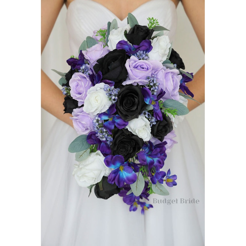 Malachi Collection #2023153- $45 – $280