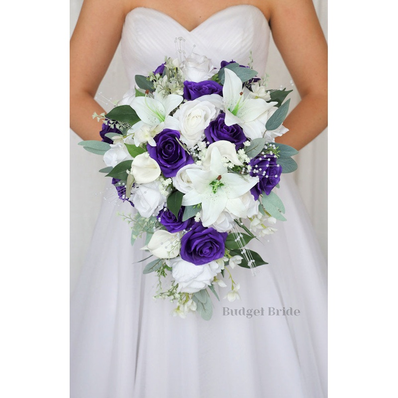 Elderberry Collection #202573- $45 – $280