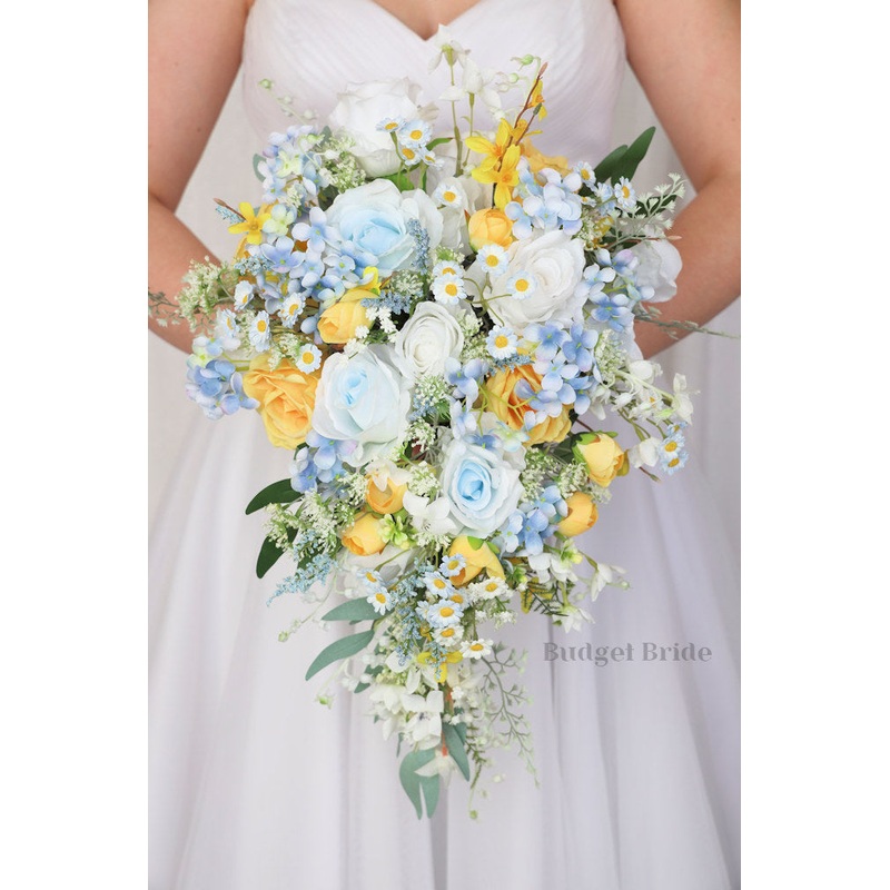 Shasta Collection #202561- $45 – $280