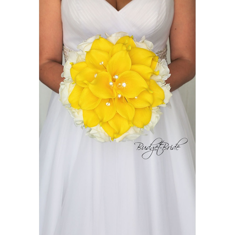 Amy Collection #2017467 – $15 – $145