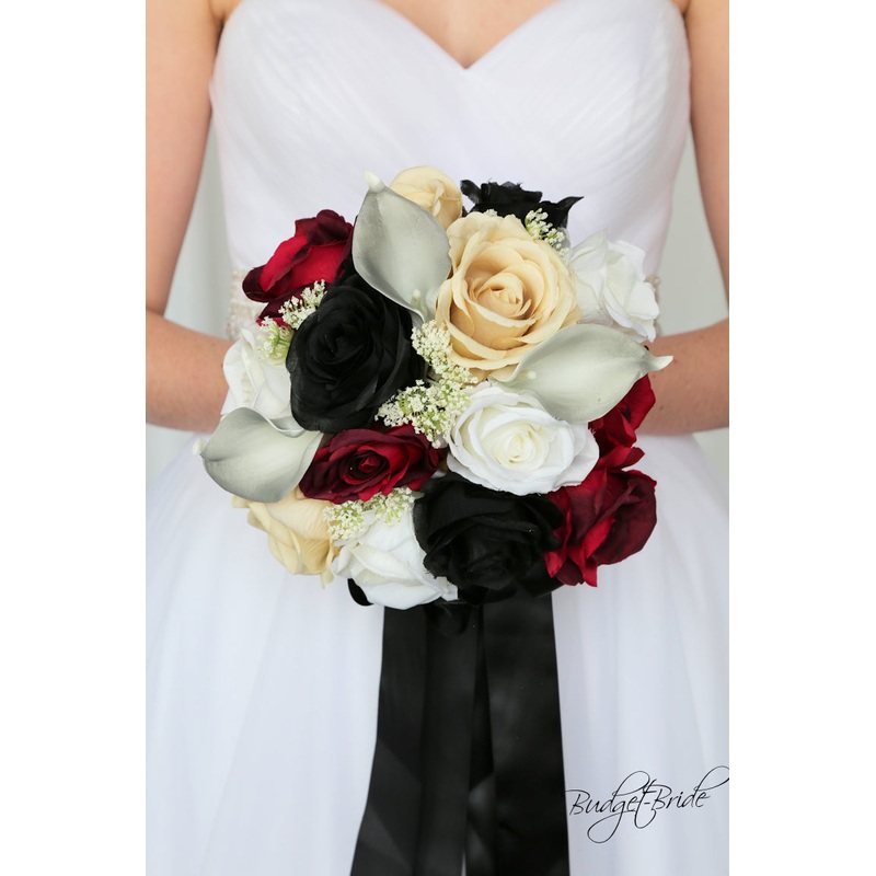 Trixie Collection #2017329 – $45 – $95