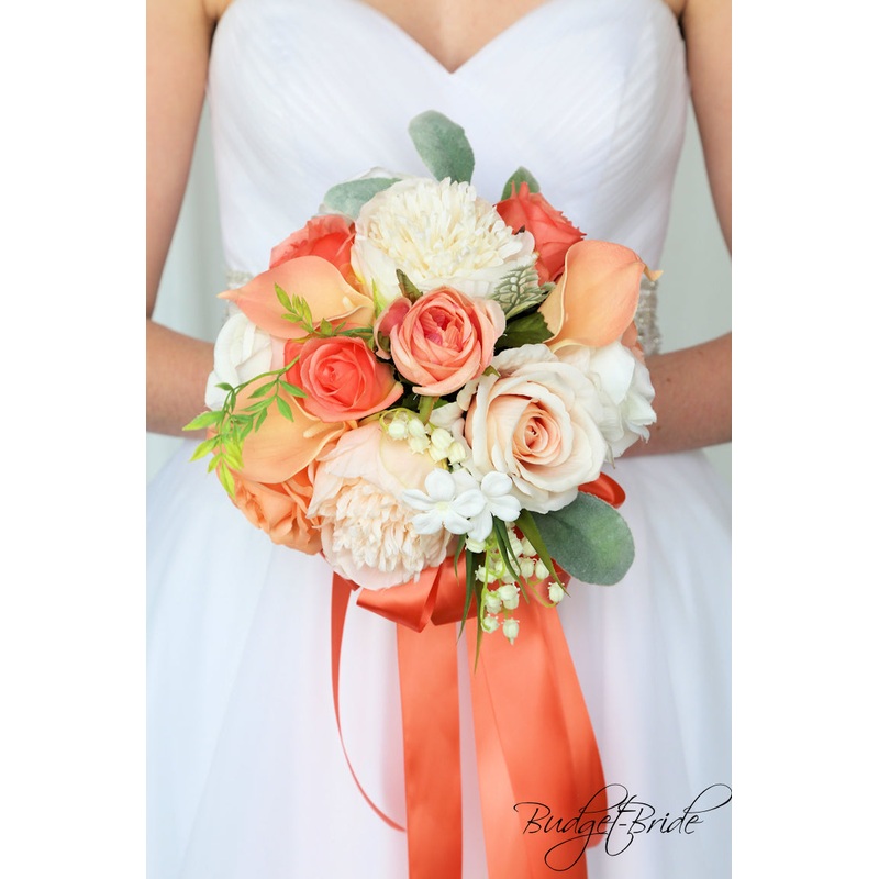 Turbo Collection #2017337 – $45 – $65