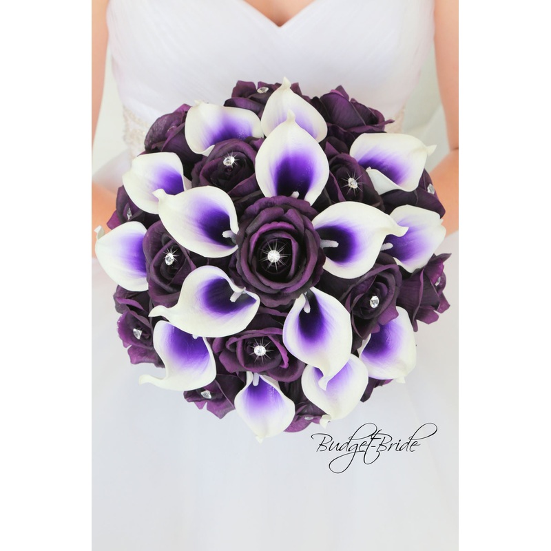 Ace Collection #2017203 – $35 – $235