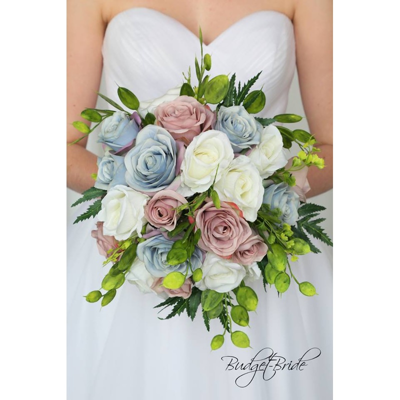 Beech Collection #2017506 – $35 – $235