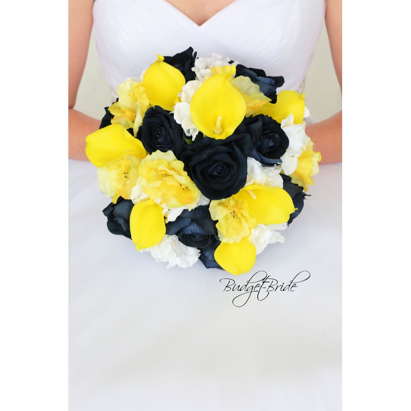 Gainesville Collection #2017133 – $45 – $235