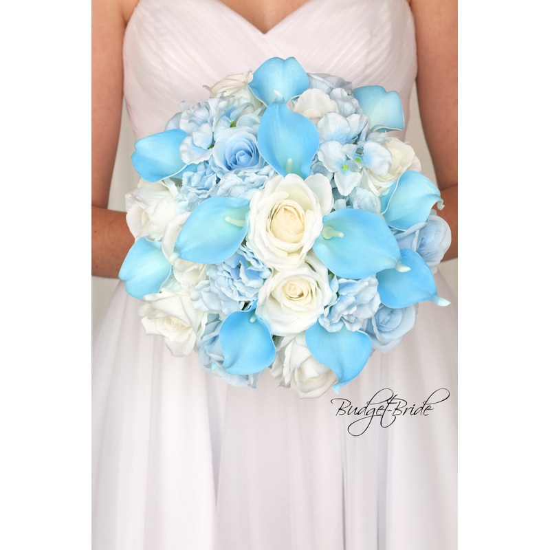 Angus Collection #2019111 – $35 – $235