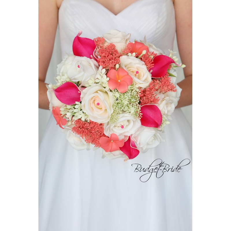 Baxter Collection #2017767 – $35 – $235