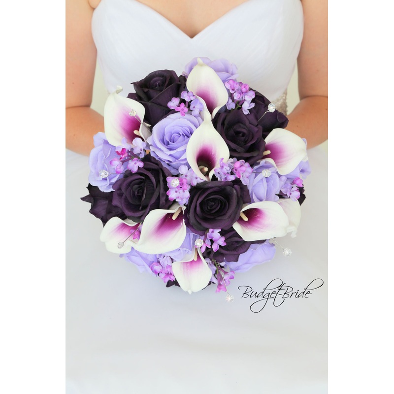 Tampa Collection #2017101 – $35 – $235