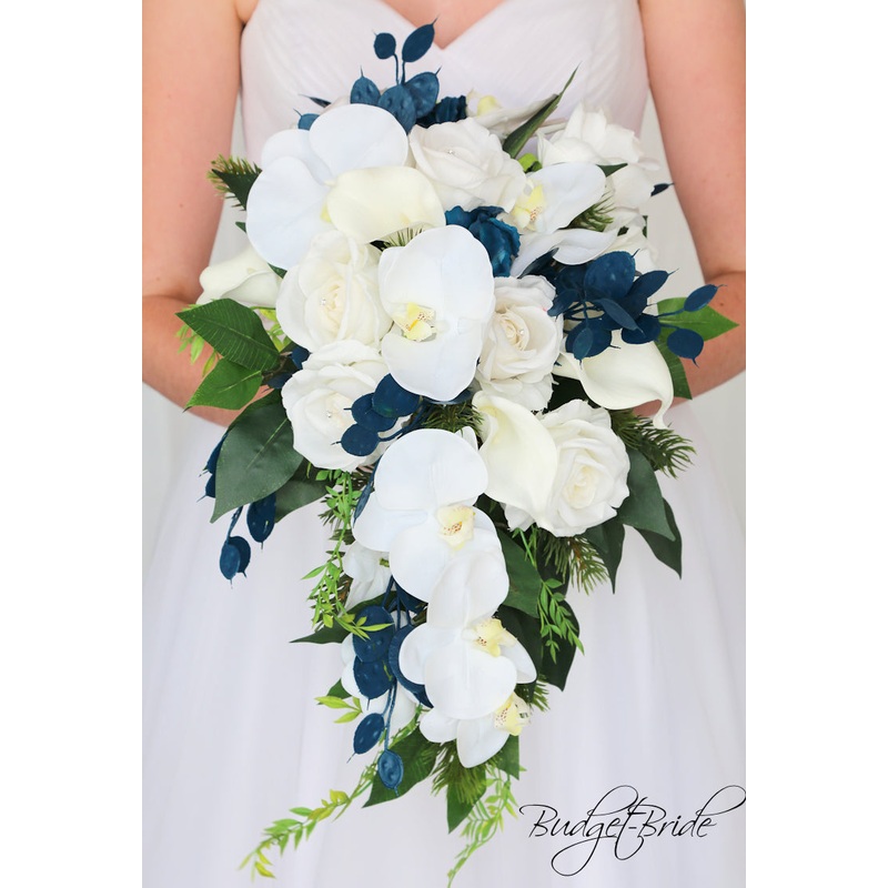 Adley Collection #2017643 – $35 – $280