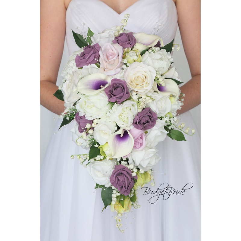 Alexa Collection #2019140 – $35 – $280