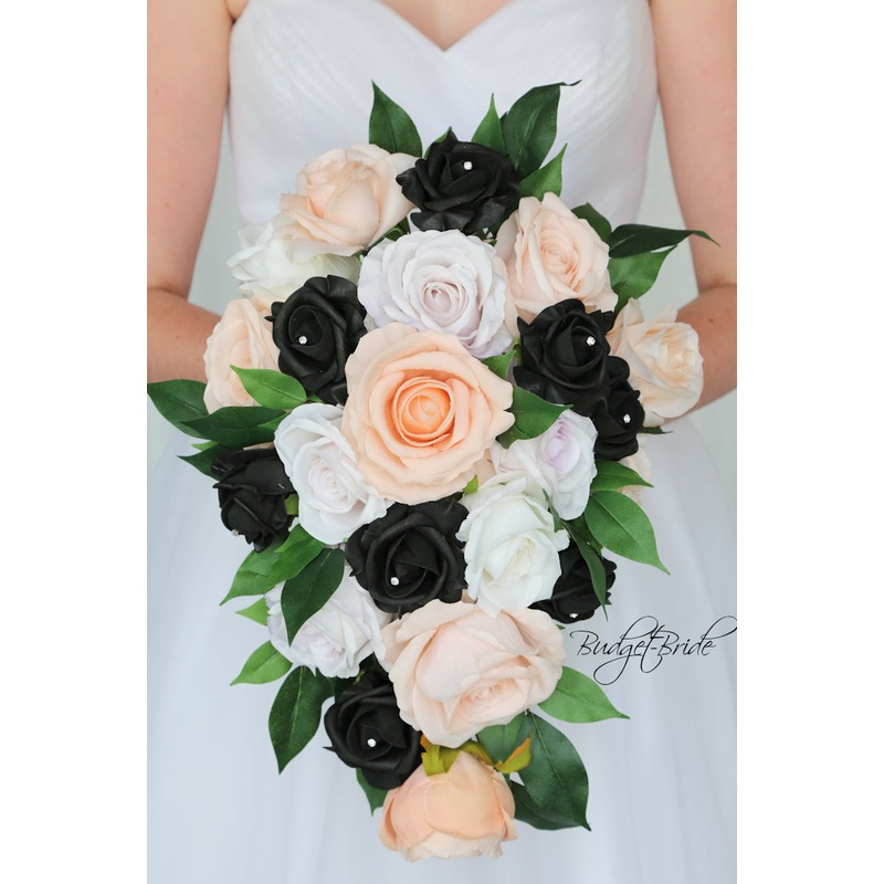 Bandit Collection #2017777 – $35 – $280