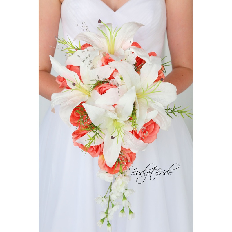 Tango Collection #2017122 – $35 – $280