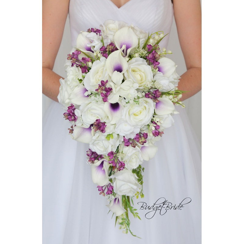 Virginia Collection #2017229 – $35 – $280