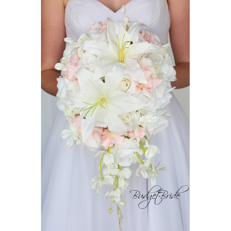 Wrangler Collection #2017788 – $35 – $280