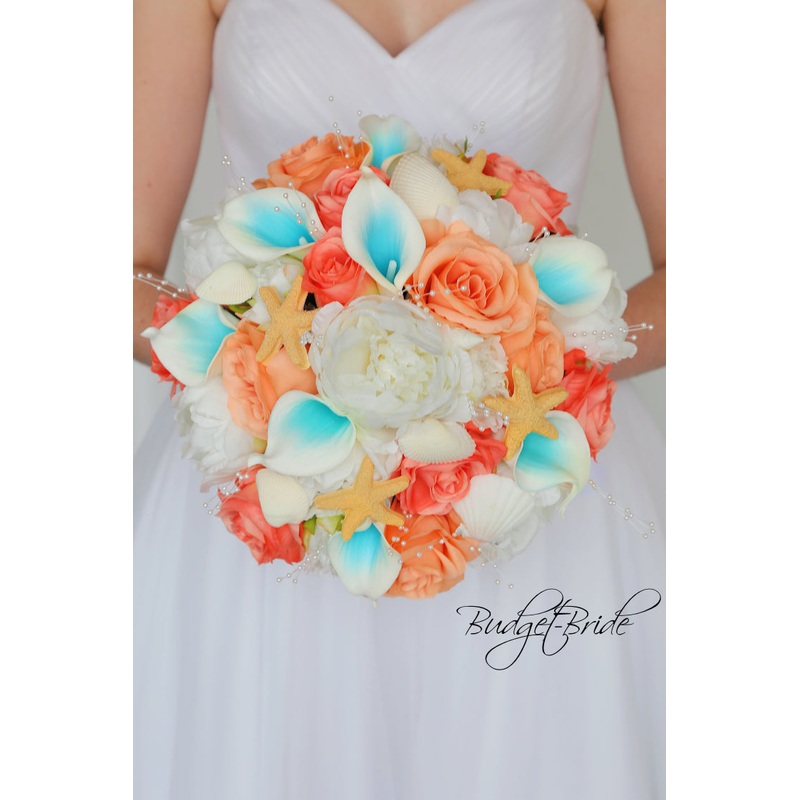 Starfish Collection #2017264 – $35 – $260