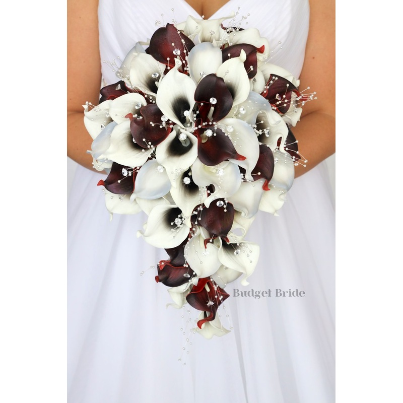 Angola Collection #202172 -$50 – $400