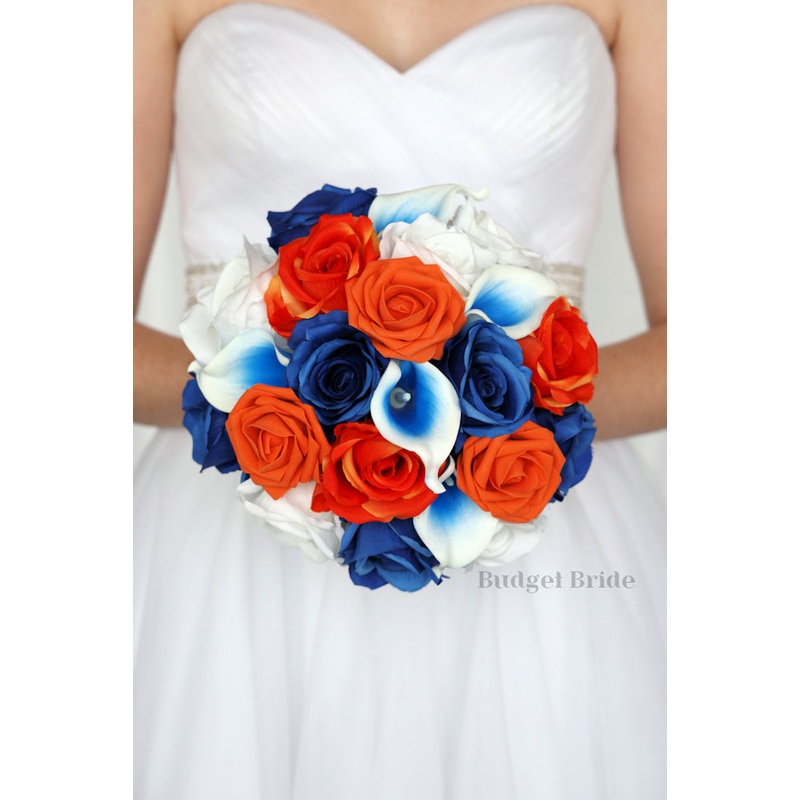 Vixen Collection #20203 – $35 – $235