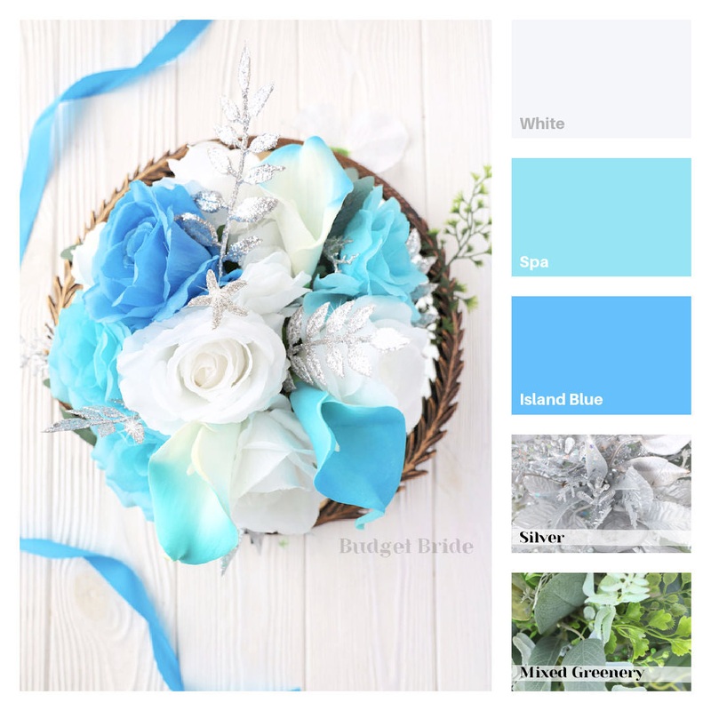 Shany Color Palette – $150 Package