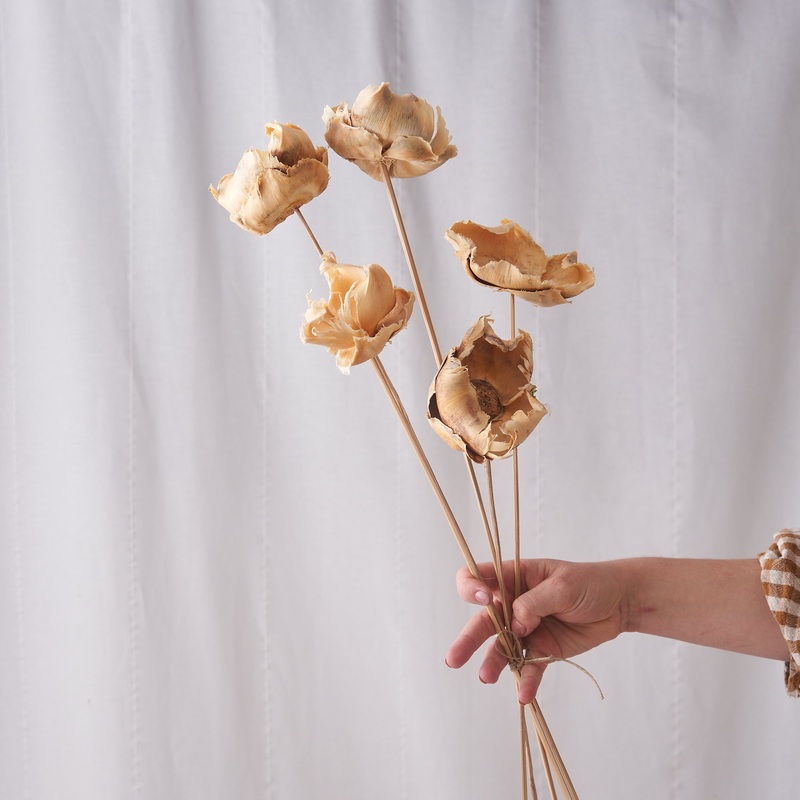 Palm cup bleached dried bunch