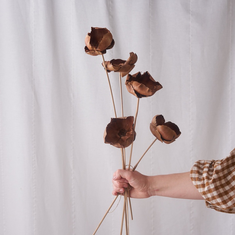 Palm cup natural dried bunch