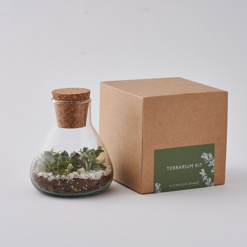 Terrarium Making Kit