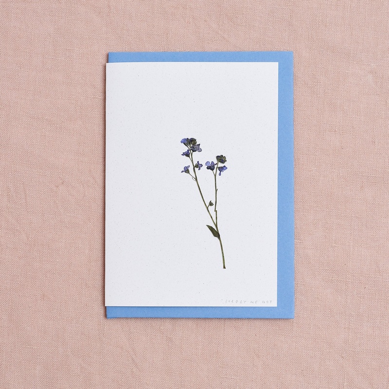 Real Pressed Flower Greetings Card : Forget me not