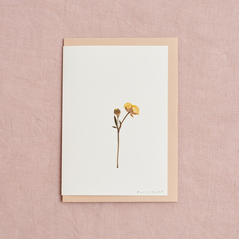 Real Pressed Flower Greetings Card : Stemmed Buttercup