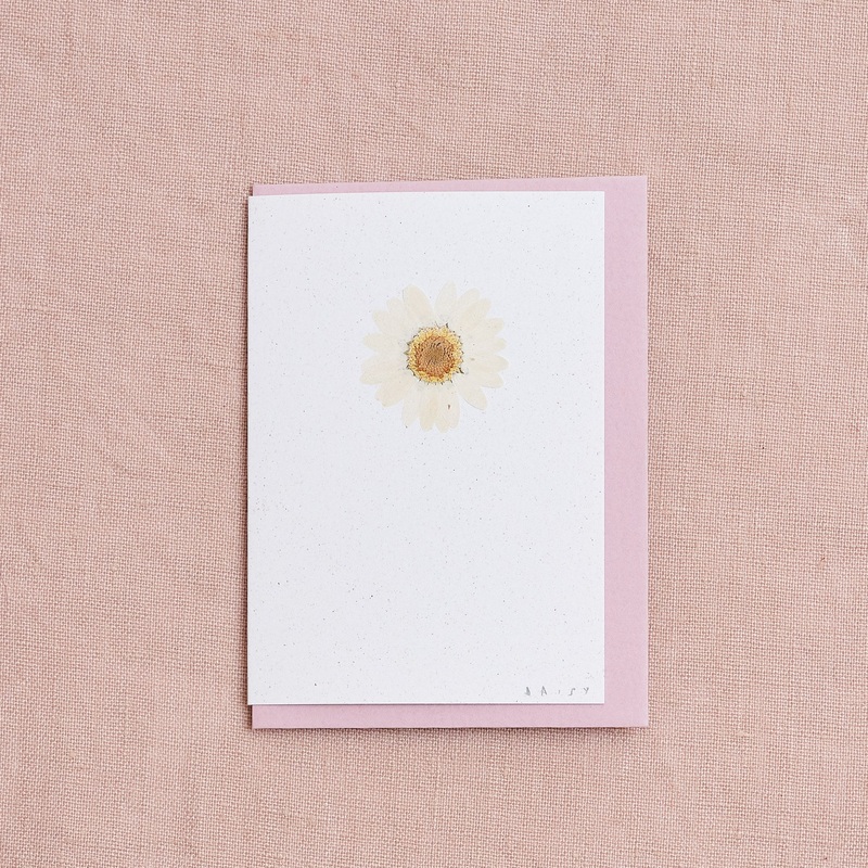 Real Pressed Flower Mini Greetings Card : Daisy White