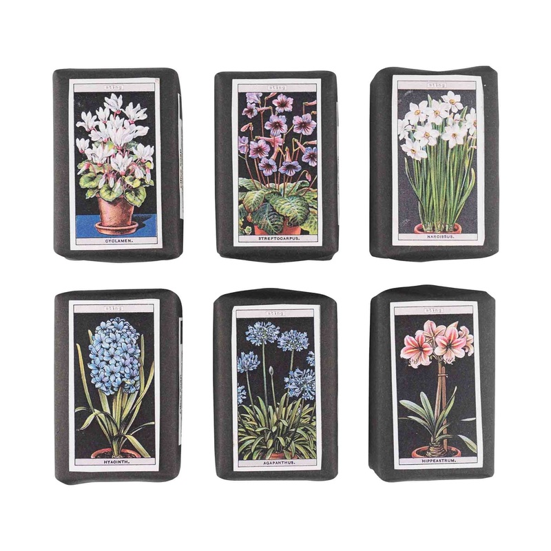 Vintage Pot Plants Label Soap-Narcissus & Hippeastrum & Agapanthus & Streptocarpus & Hyacinth & Cyclamen