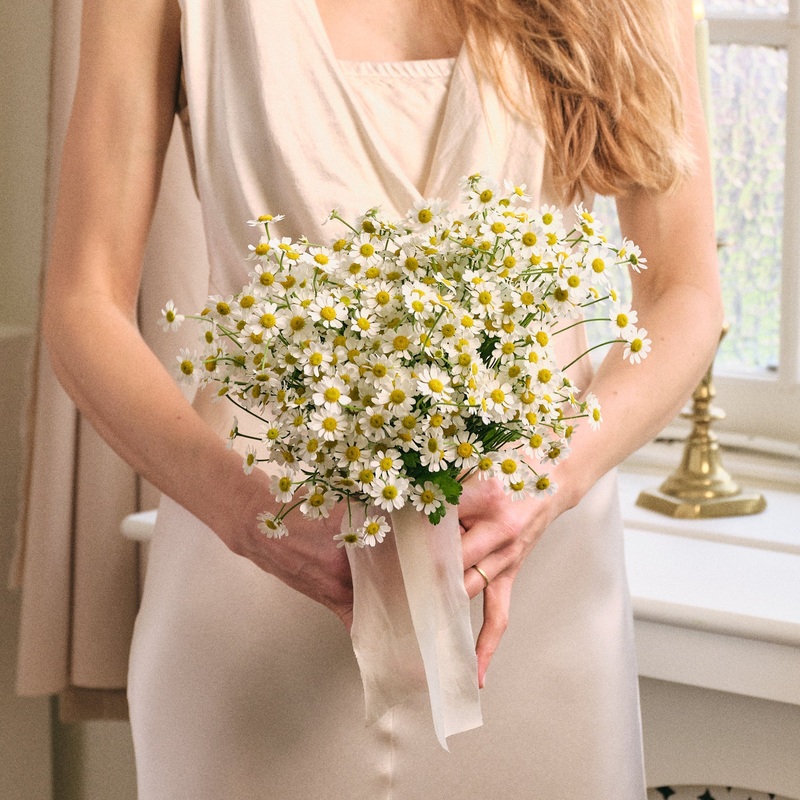 Meadow of Daisies Bridal Bouquet