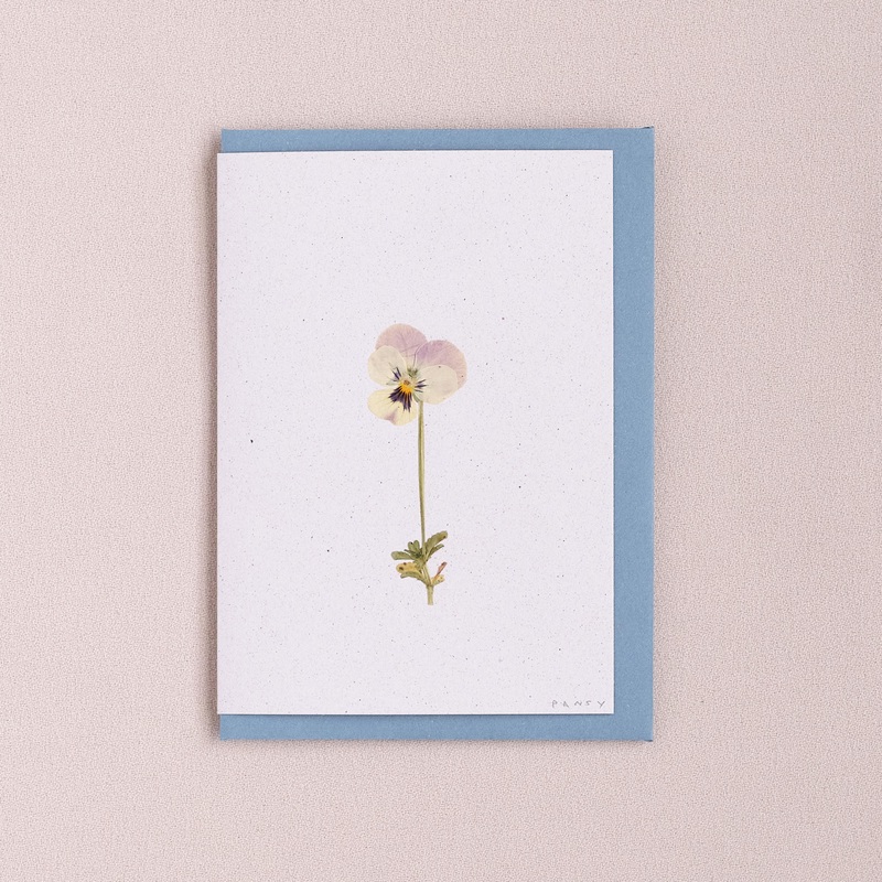 Real Pressed Flower Greetings Card : Purple Stemmed Pansy