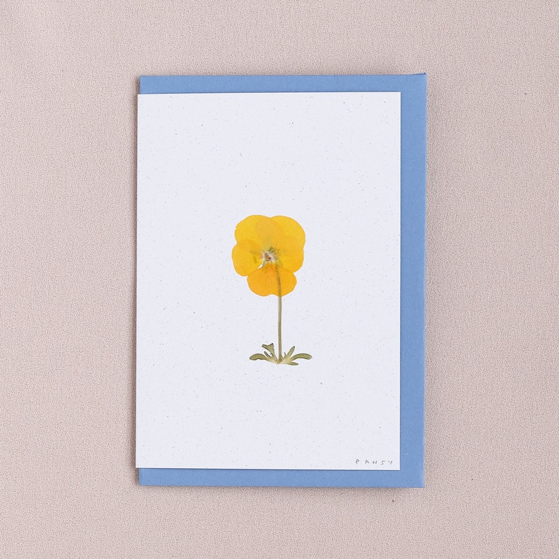 Real Pressed Flower Greetings Card : Yelloe Stemmed Pansy
