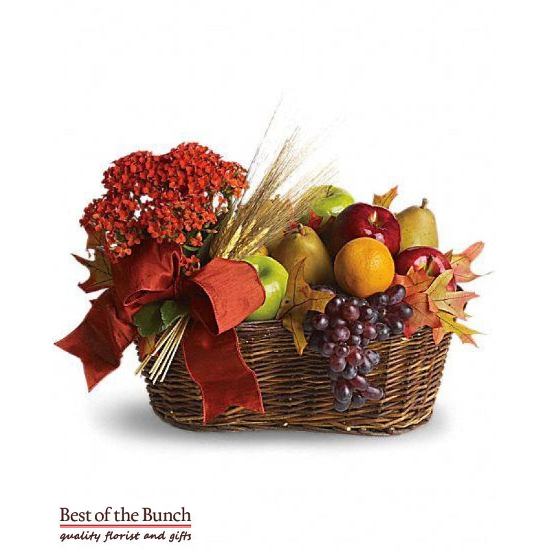 Gift Basket Potted Plant & Fruit Platter