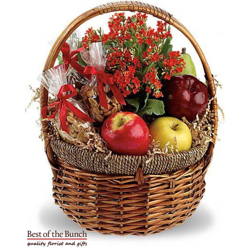 Gift Basket The Healthy Fruit & Nut With Potted Plant