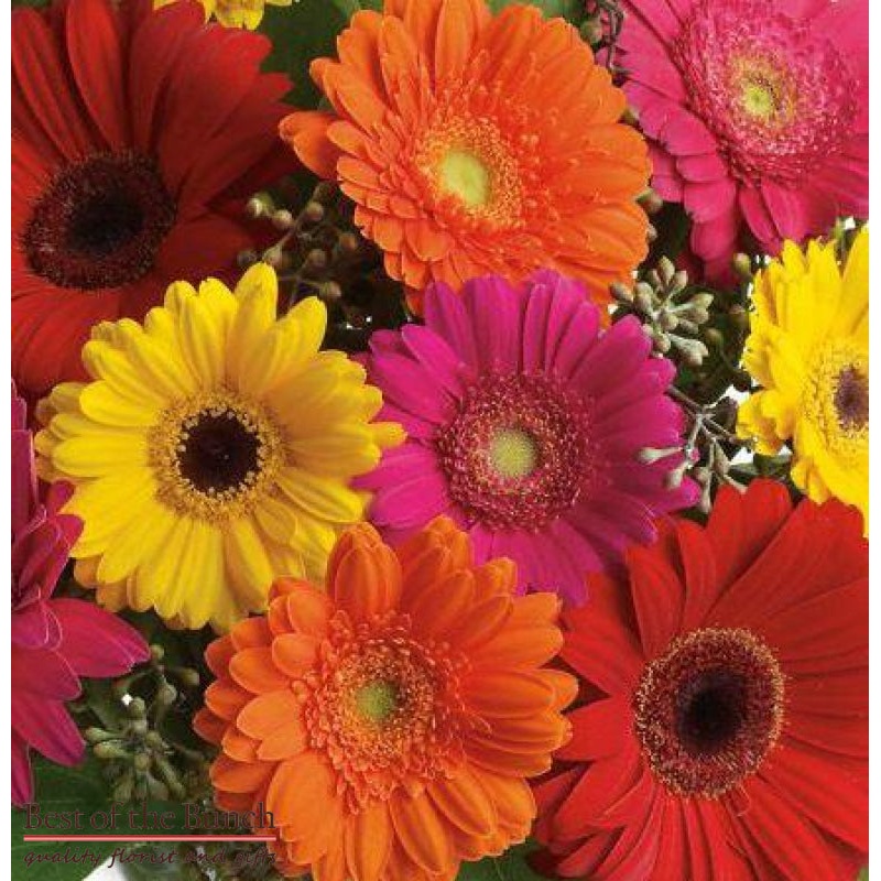 Florists Choice Bright Flower Bouquet