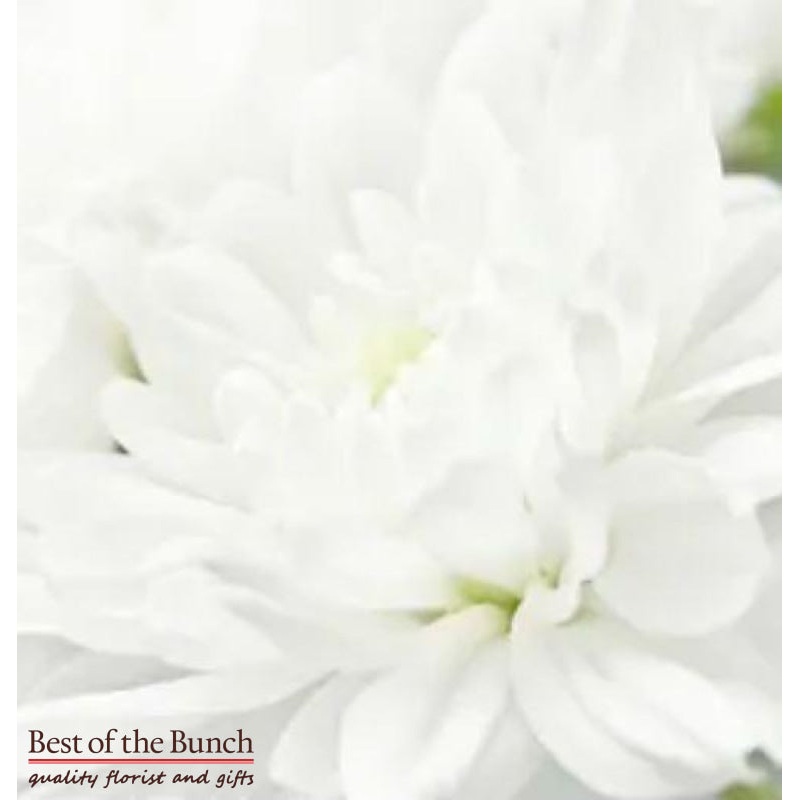 Florists Choice White Flower Bouquet