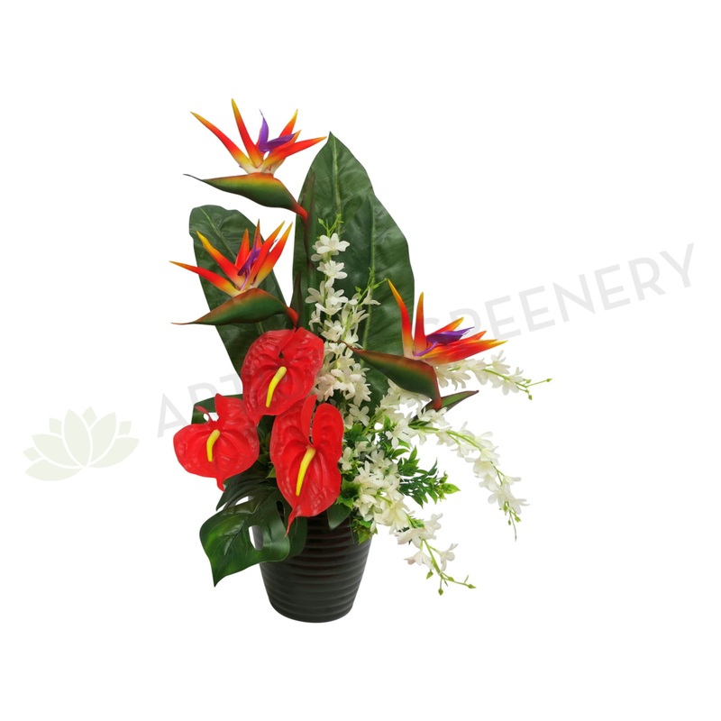 FA1005 – Bird of Paradise & Anthurium Arrangement