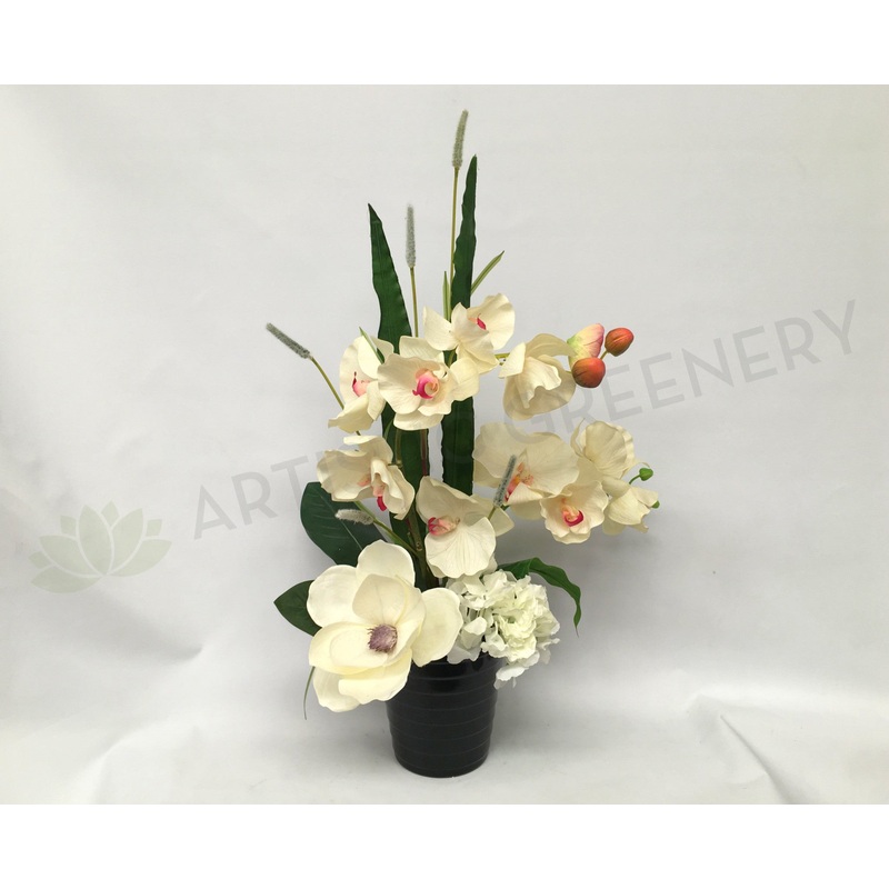 FA1025 – White Magnolia & Orchid Floral Arrangement