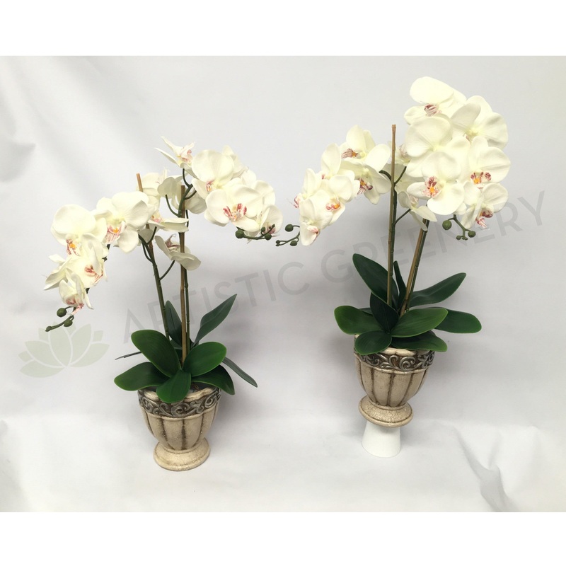 FA1028 – White Orchid Floral Arrangement