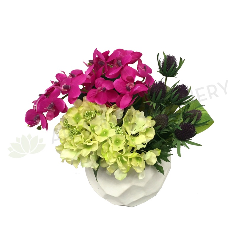 FA1047 – Thistle Orchid & Hydrangea Arrangement (32cm Height)