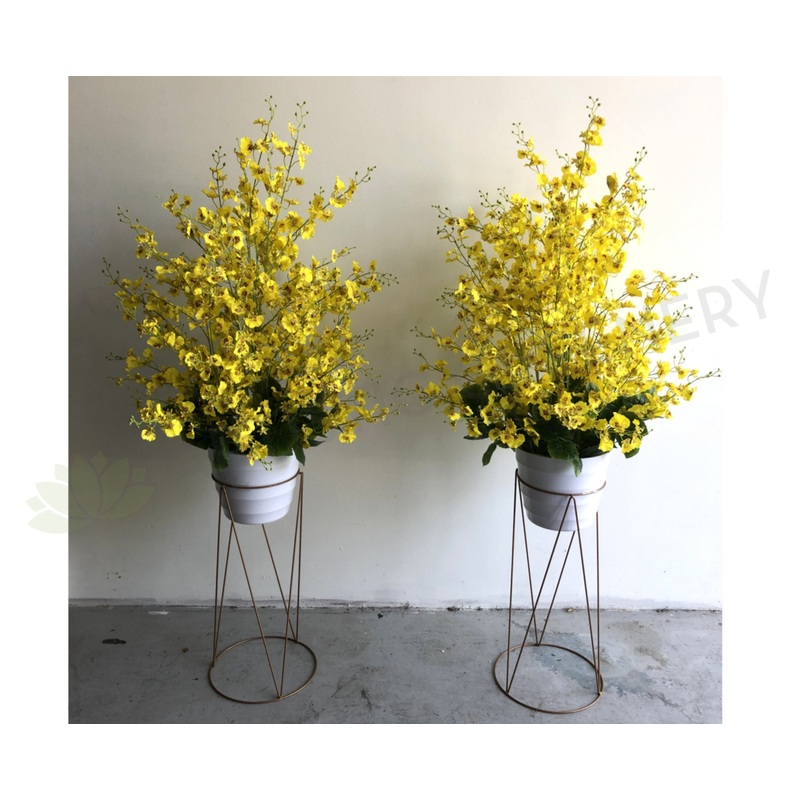 FA1078 – Dancing-Lady Orchid Arrangement (100cm Height) Yellow