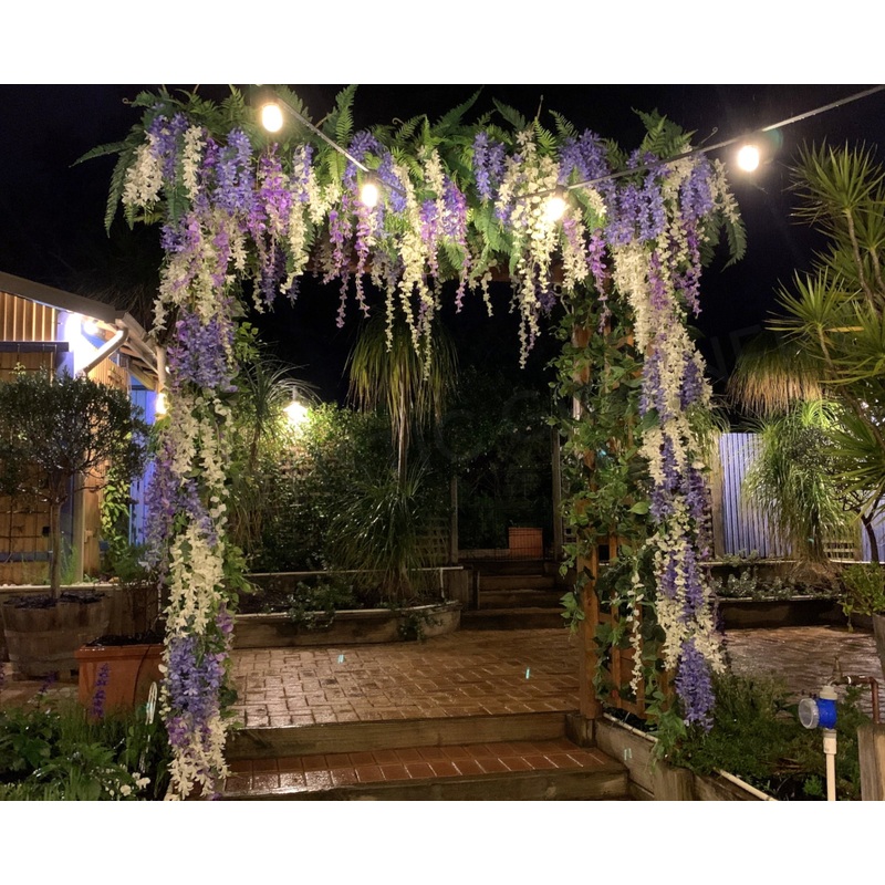 For Hire – Wisteria Arch Bridgerton Style for Home Wedding (Code: HI0042) Meg & Josh